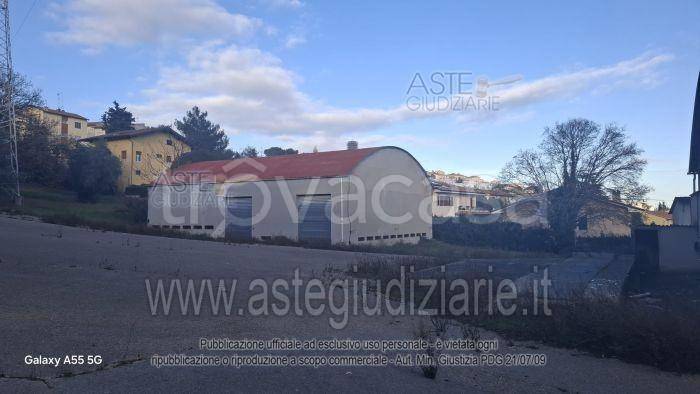 immagine annuncio 10 di 14