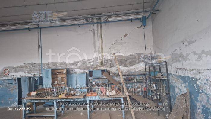 immagine annuncio 2 di 14