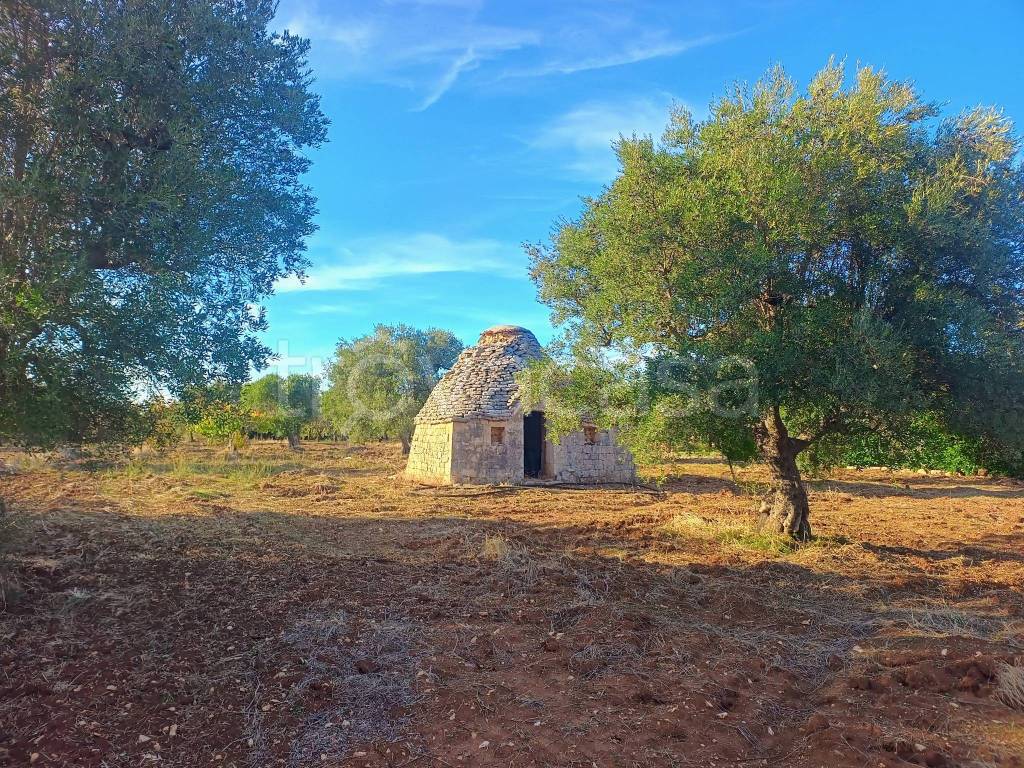 immagine annuncio 1 di 7