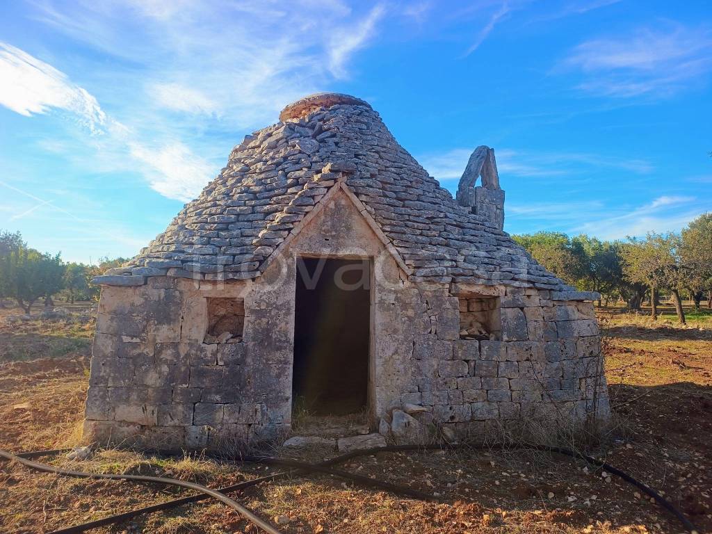 immagine annuncio 3 di 7