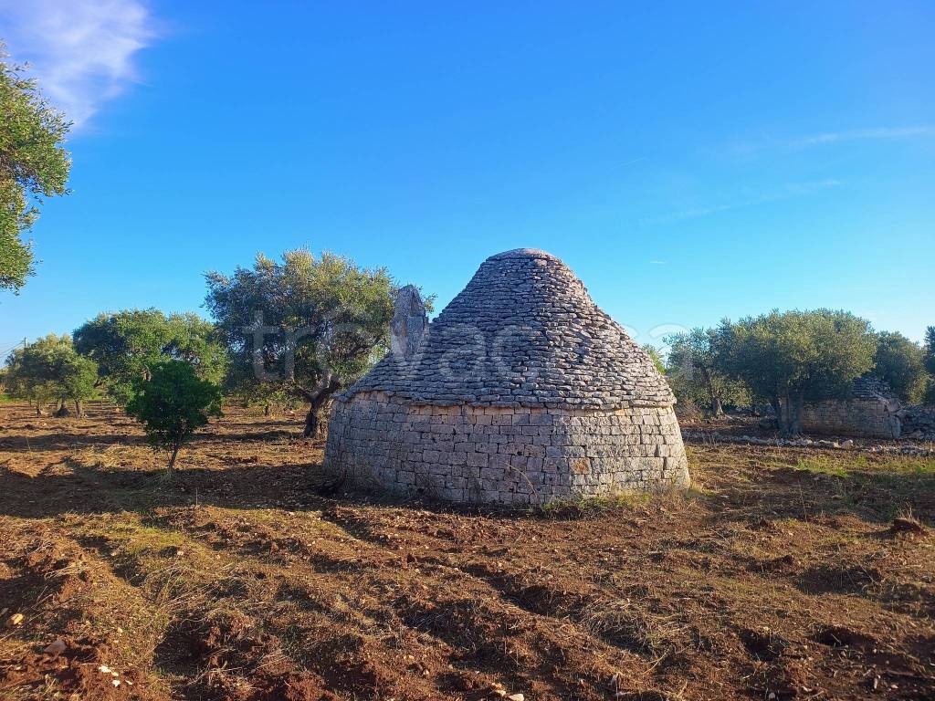 immagine annuncio 6 di 7