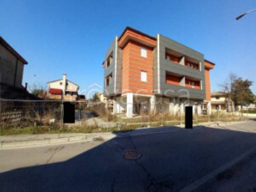 immagine annuncio 2 di 14