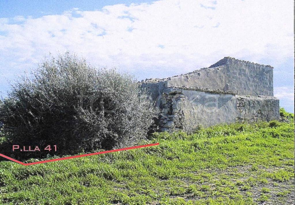 immagine annuncio 5 di 12