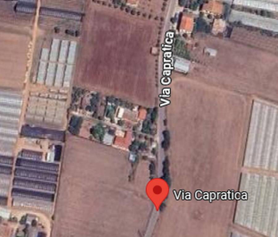 immagine annuncio 10 di 12