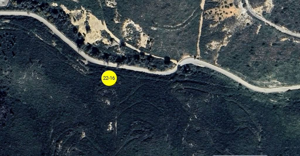 immagine annuncio 12 di 13