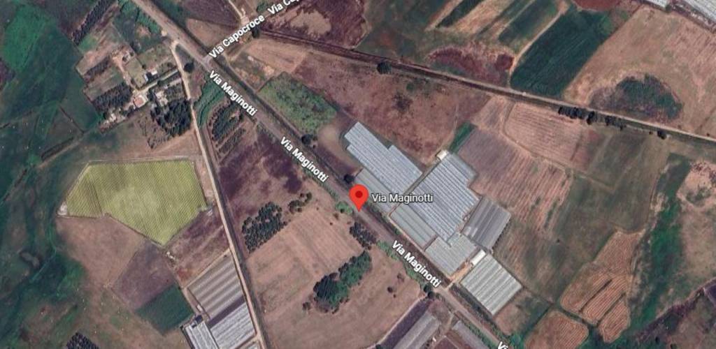 immagine annuncio 2 di 10