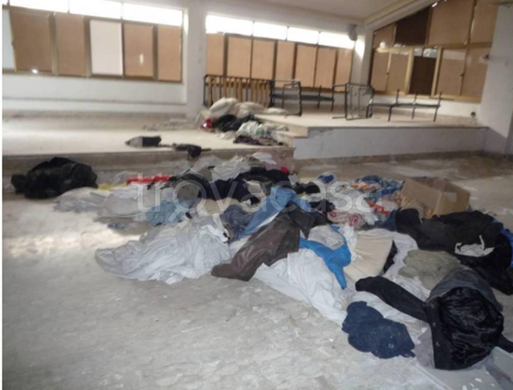 immagine annuncio 5 di 14