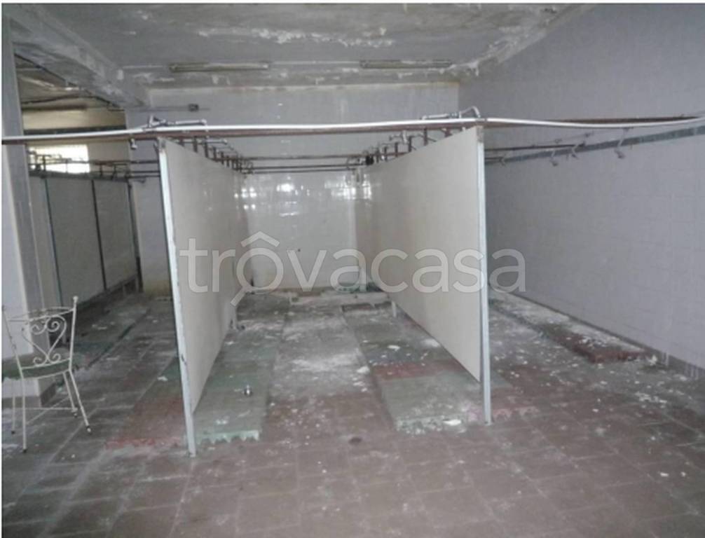 immagine annuncio 6 di 14