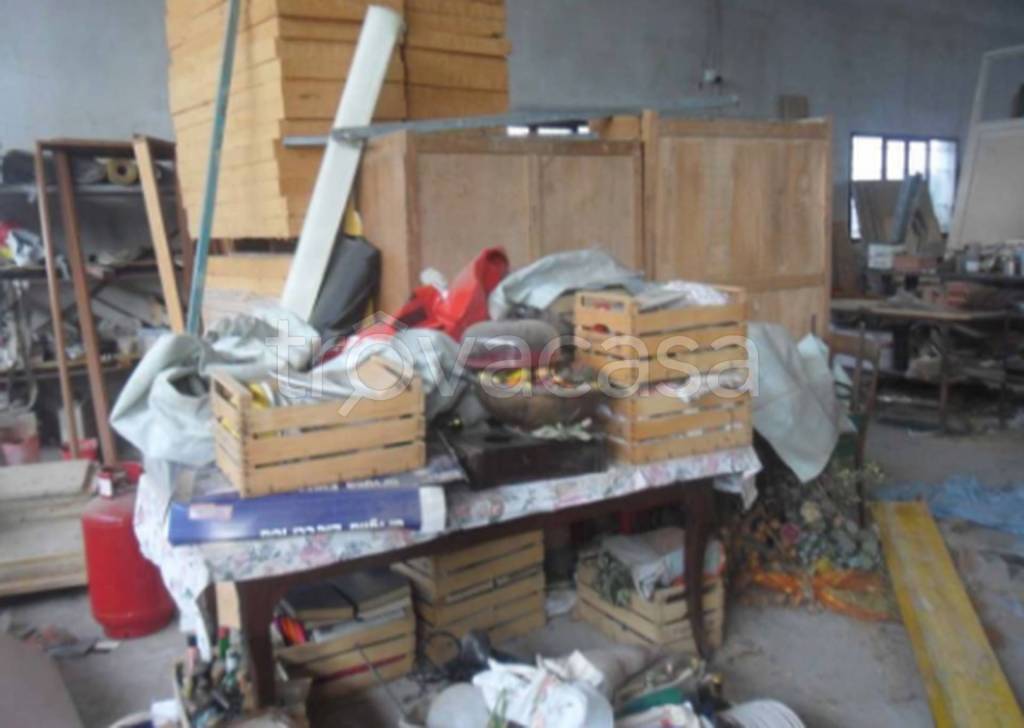 immagine annuncio 6 di 11