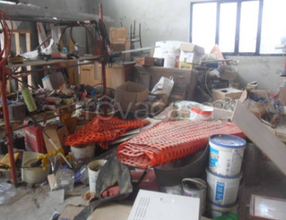 immagine annuncio 5 di 11