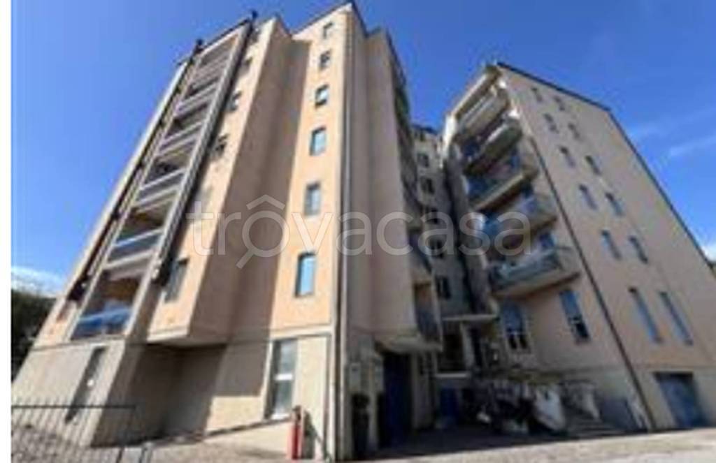 immagine annuncio 4 di 12