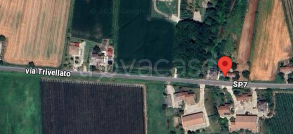 immagine annuncio 8 di 11