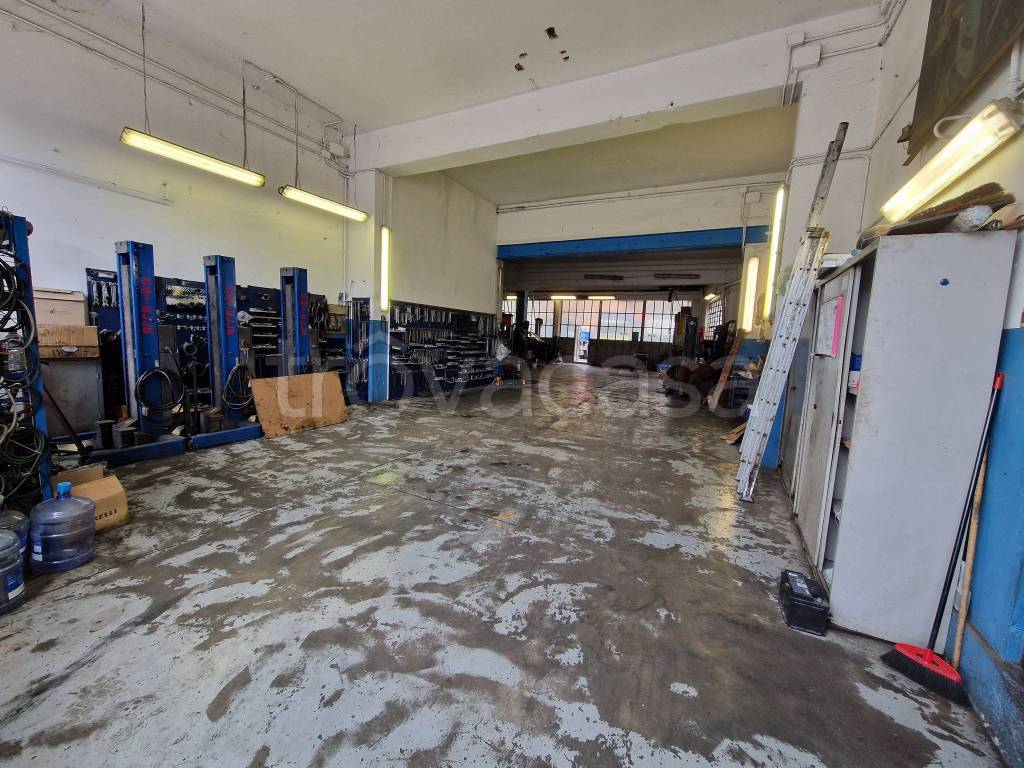 immagine annuncio 3 di 15