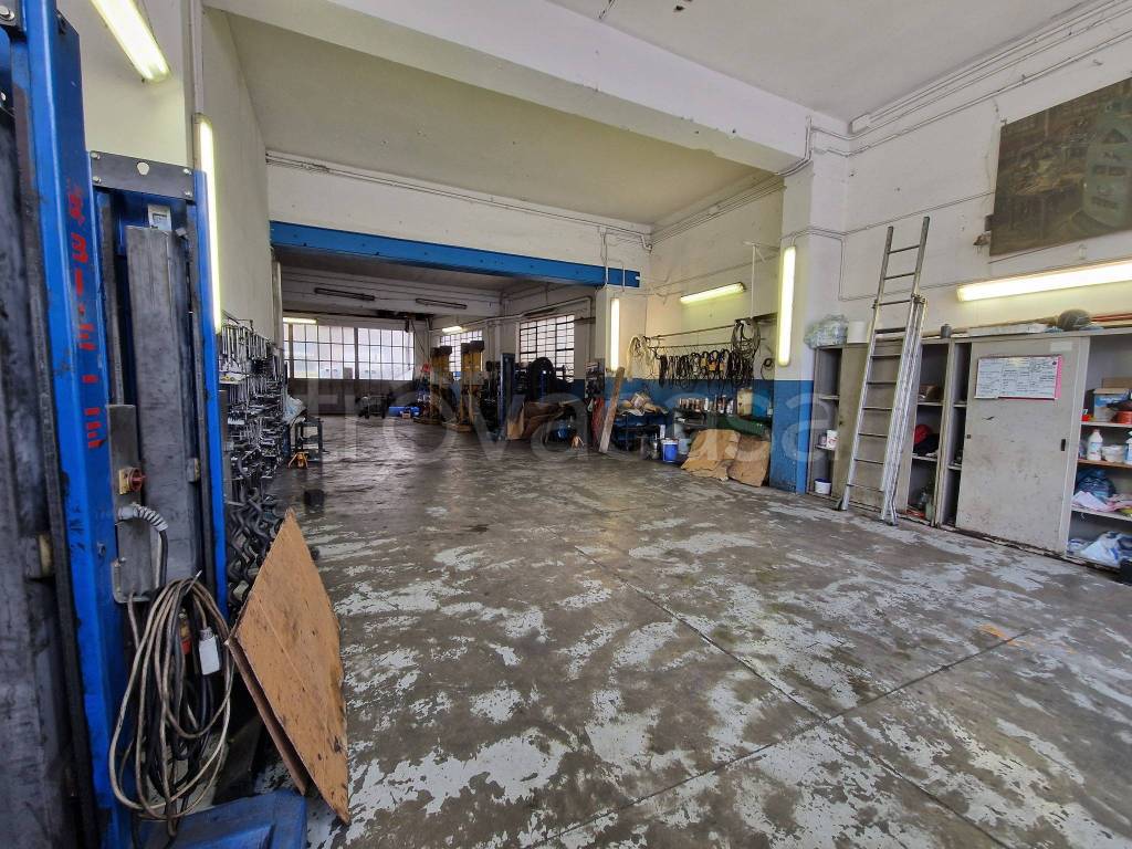 immagine annuncio 6 di 15