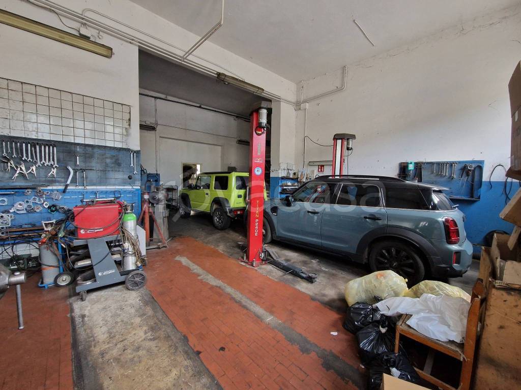 immagine annuncio 10 di 15