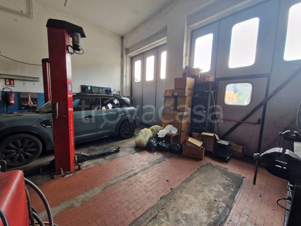 immagine annuncio 11 di 15