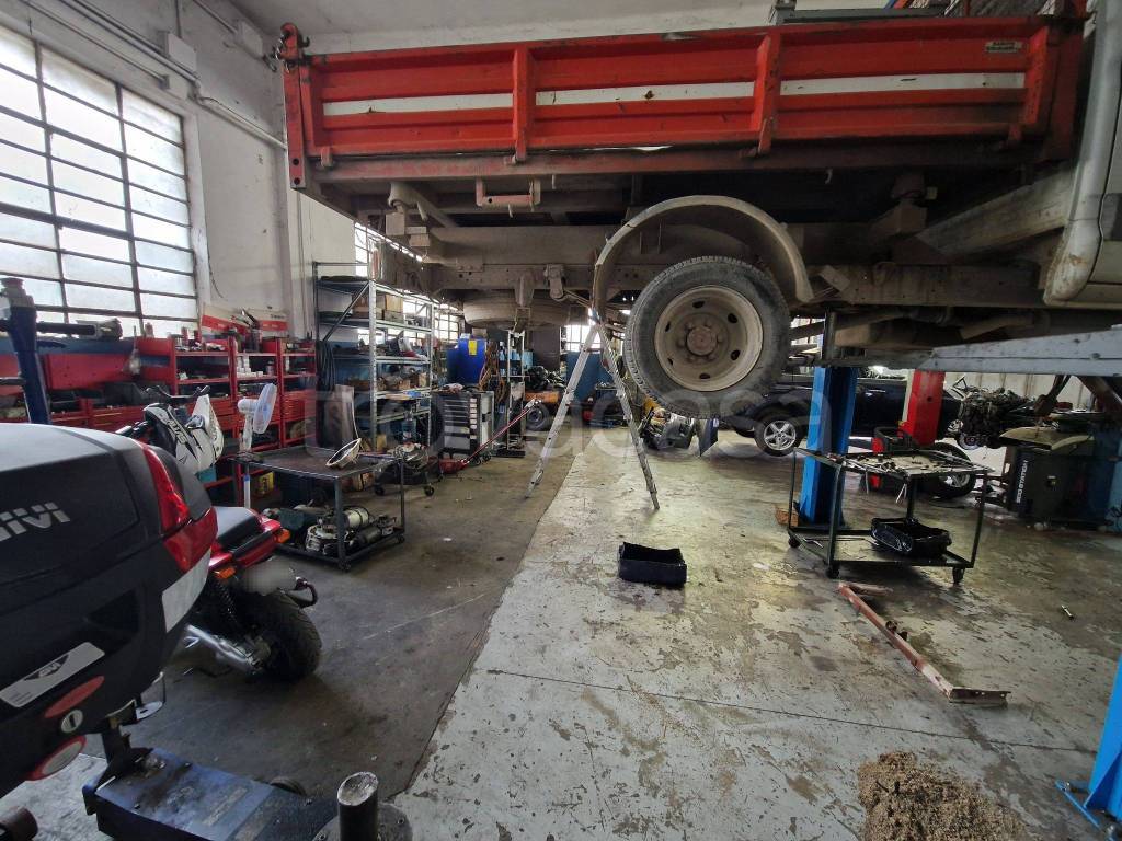 immagine annuncio 14 di 15