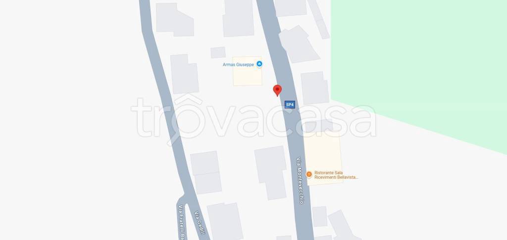 immagine annuncio 12 di 13