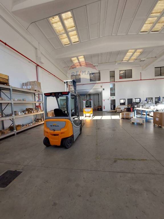 immagine annuncio 10 di 15