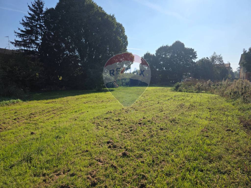 immagine annuncio 1 di 6