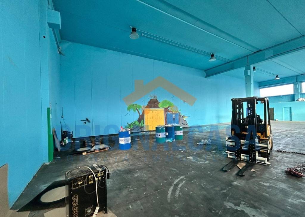 immagine annuncio 3 di 10