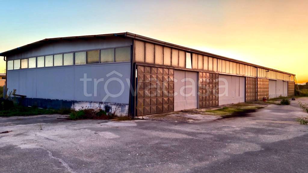 immagine annuncio 6 di 7