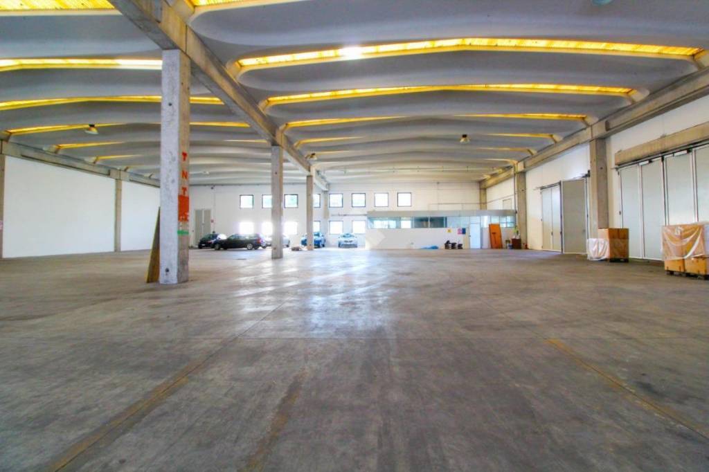 immagine annuncio 2 di 11