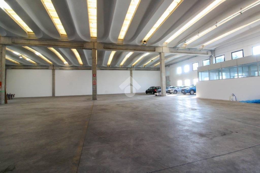 immagine annuncio 4 di 11