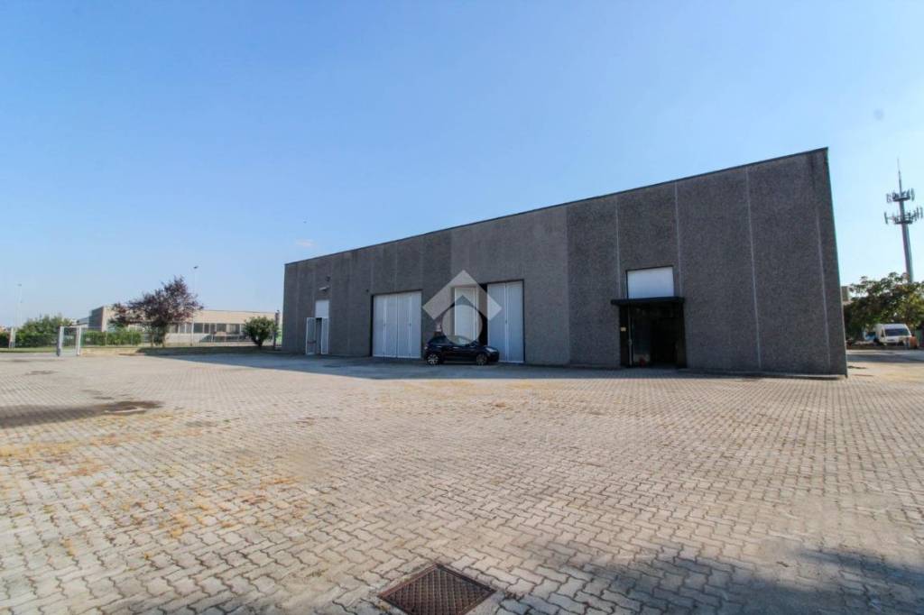 immagine annuncio 5 di 11