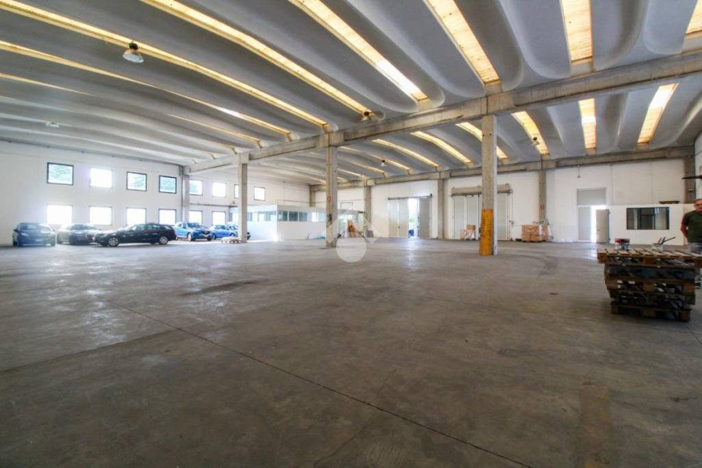 immagine annuncio 8 di 11