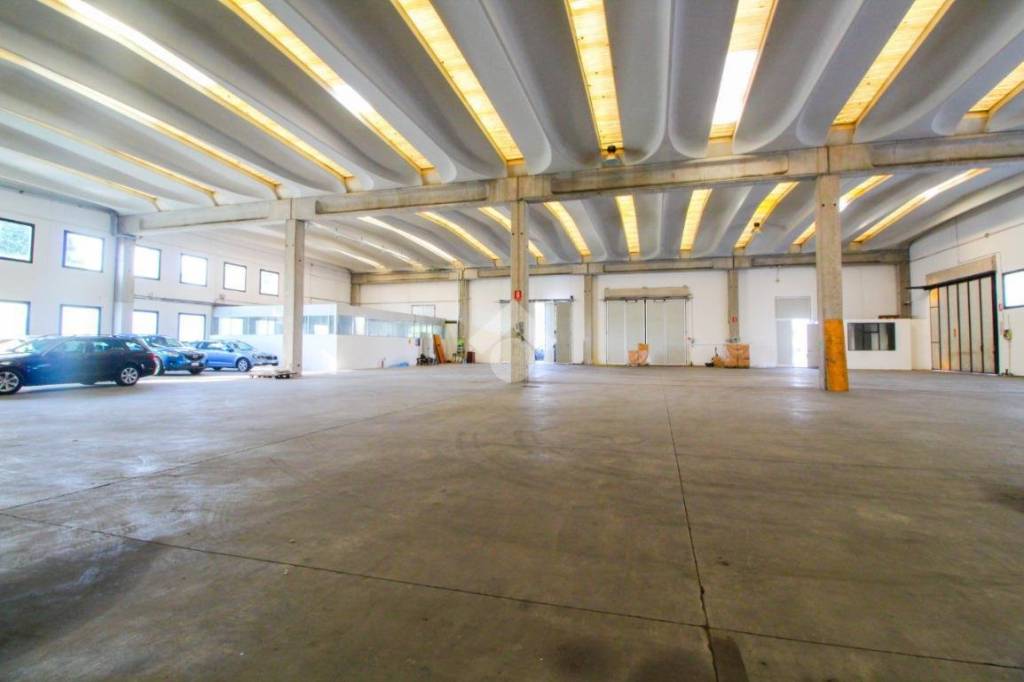 immagine annuncio 9 di 11