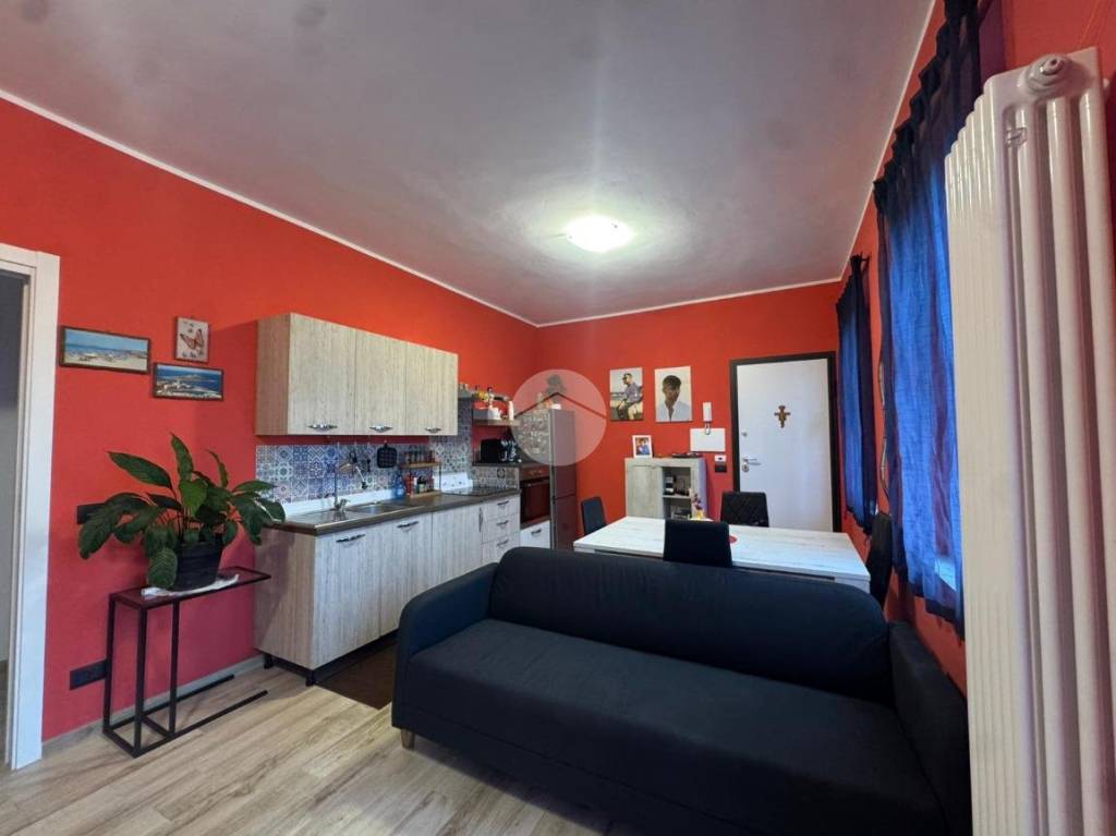 immagine annuncio 3 di 13