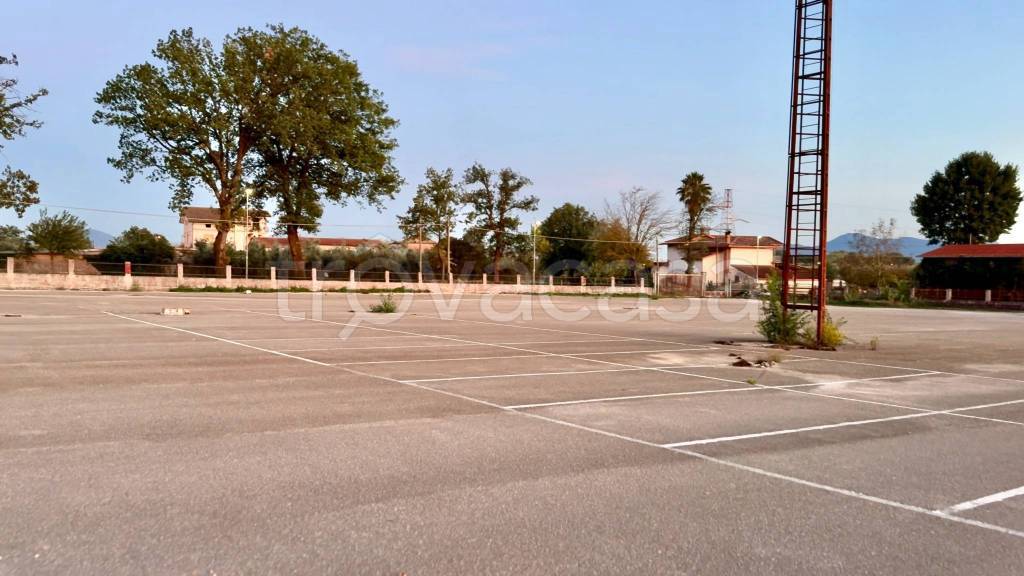 immagine annuncio 4 di 7