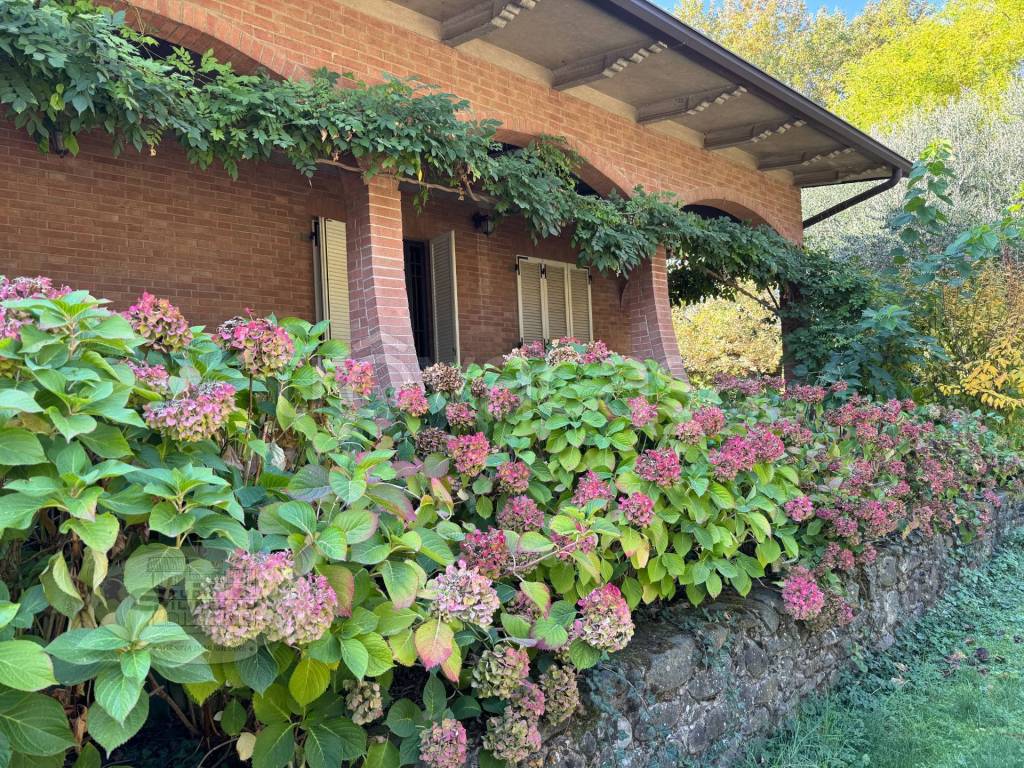 immagine annuncio 3 di 7