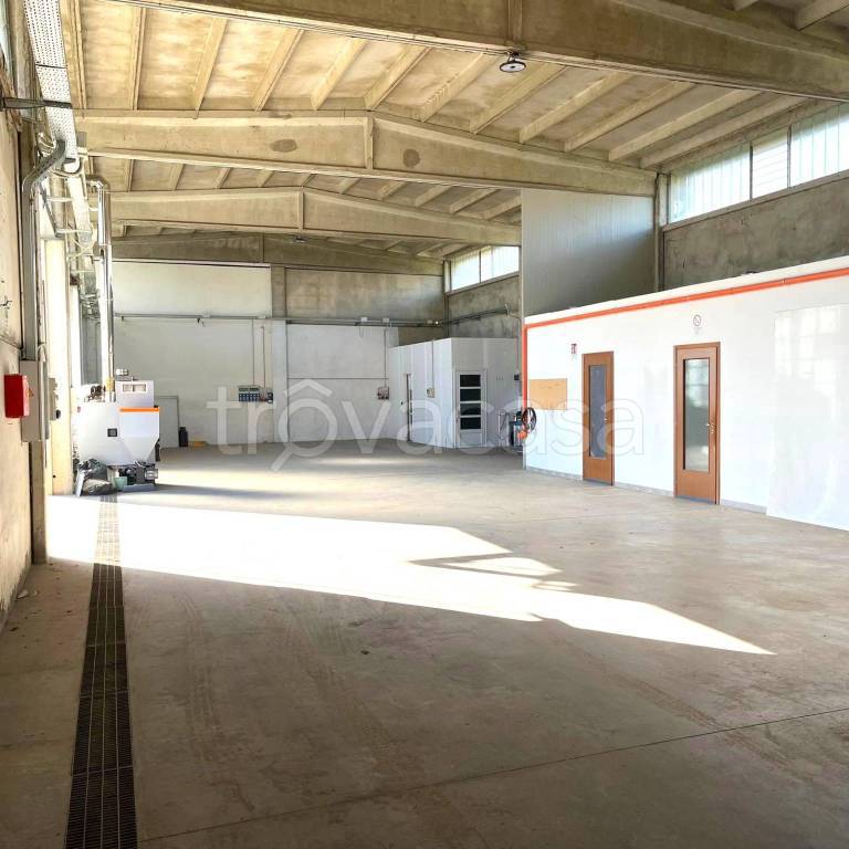 immagine annuncio 5 di 14