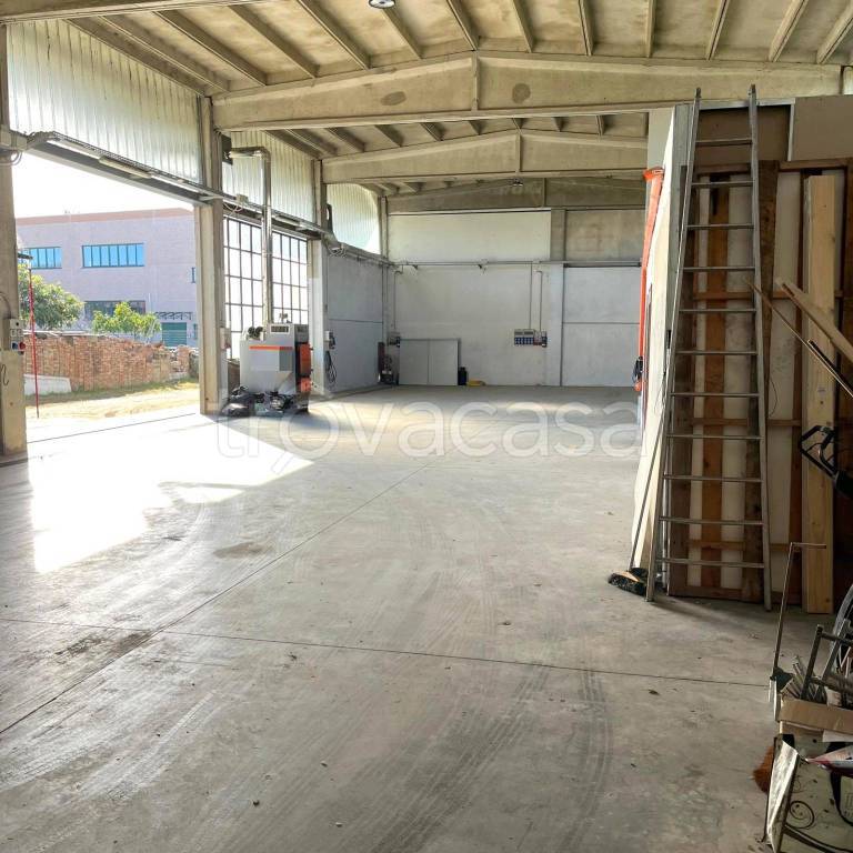 immagine annuncio 5 di 14