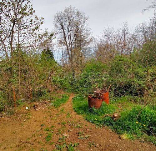 immagine annuncio 13 di 15