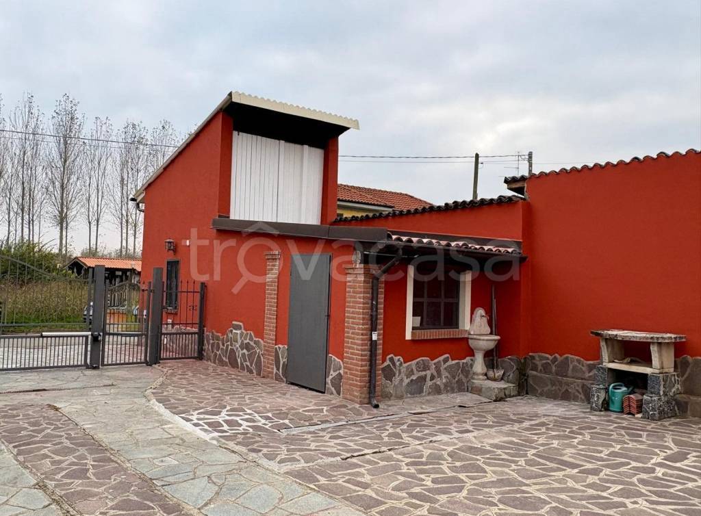 immagine annuncio 11 di 15