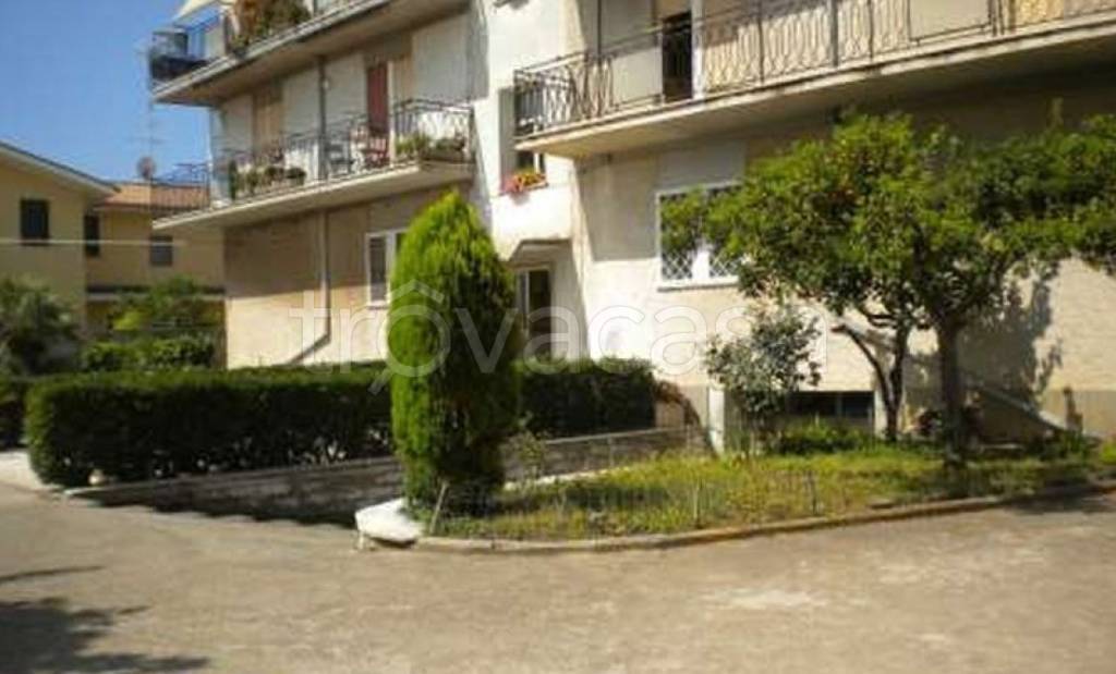 immagine annuncio 1 di 7