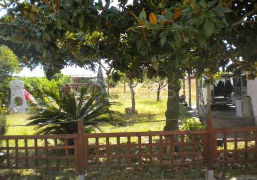 immagine annuncio 3 di 7