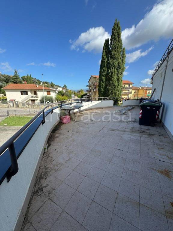 immagine annuncio 5 di 8