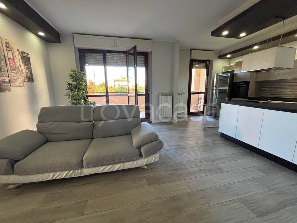 immagine annuncio 7 di 15