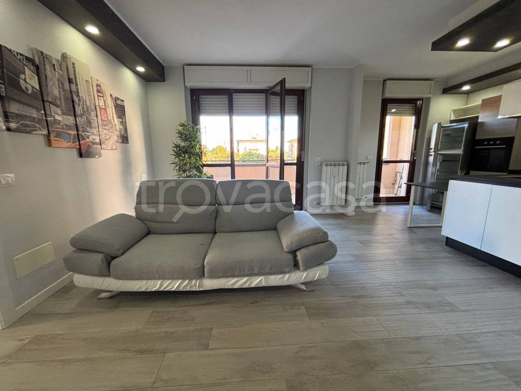 immagine annuncio 8 di 15