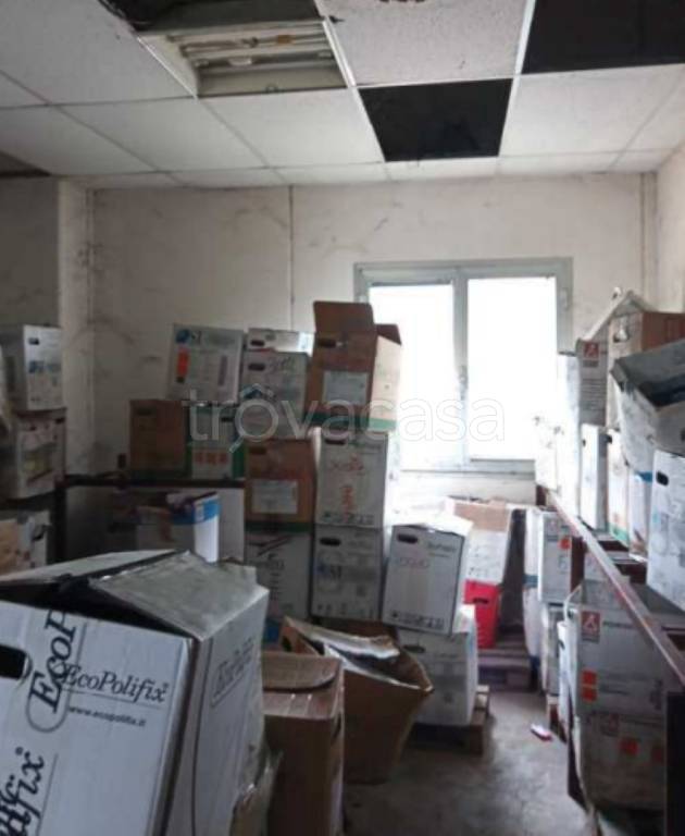 immagine annuncio 6 di 13