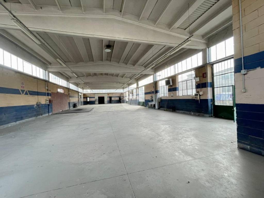 immagine annuncio 8 di 15