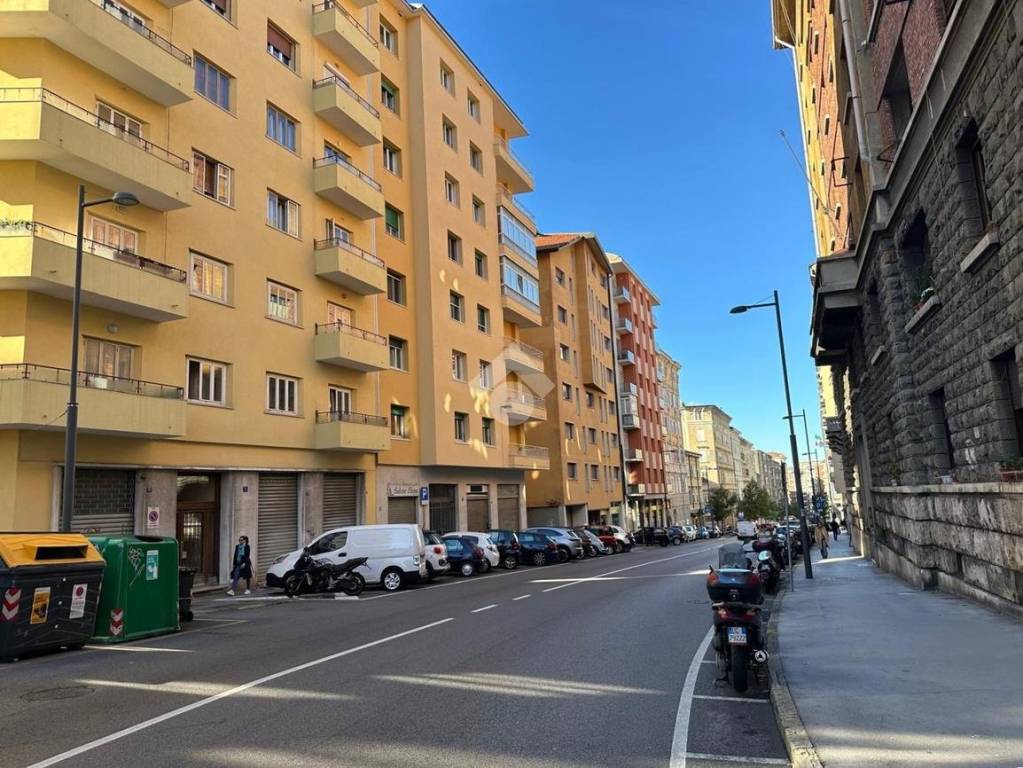 immagine annuncio 12 di 13