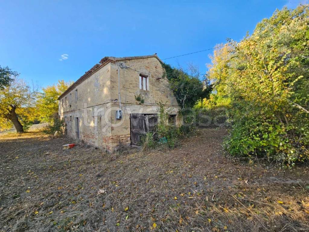 immagine annuncio 2 di 7