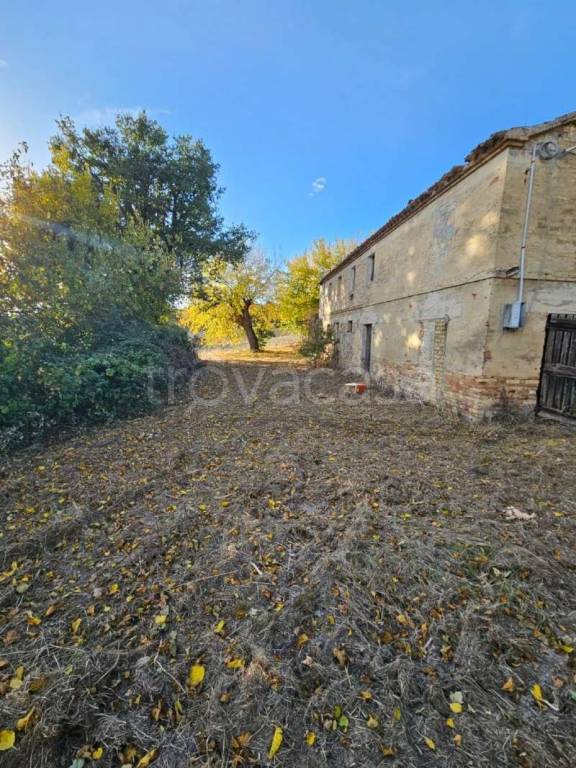 immagine annuncio 3 di 7