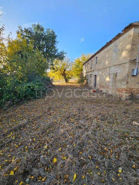 immagine annuncio 6 di 7