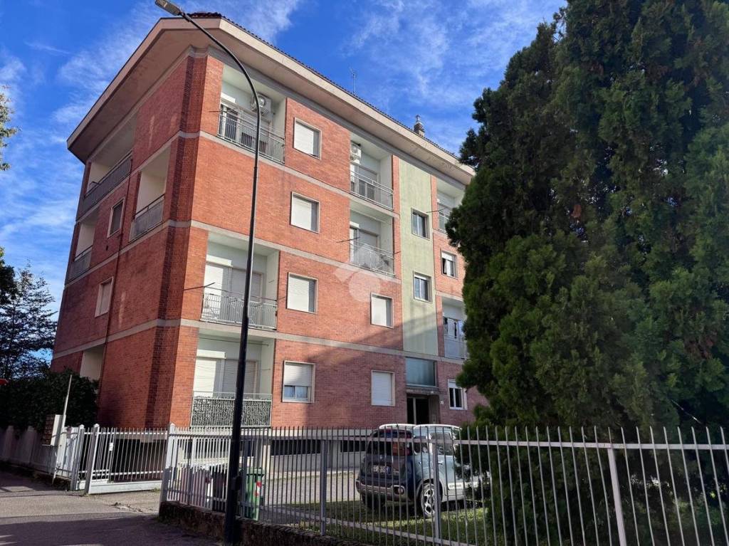 immagine annuncio 1 di 2